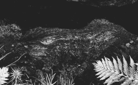 The Blue Mountains Void Observance League Officially Sanctioned Drone Ensemble