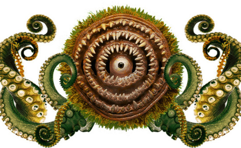 Acariasisоrnithodorosаrgasidae