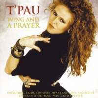 Wing And A Prayer