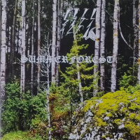 Summerforest