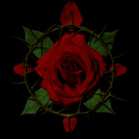 001: He That Dares Not Grasp The Thorn Should Never Crave The Rose