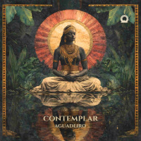 Contemplar