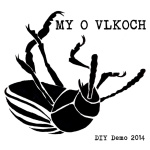 DIY Demo