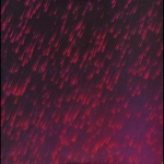 Strange Tales From The Rain : Prince 1978-1984 