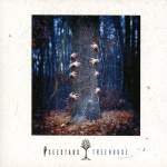 Treehouse