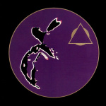 Cymatic Scan