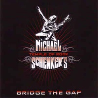 Bridge The Gap