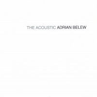 The Acoustic Adrian Belew