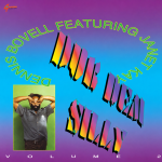 Dub Dem Silly vol. 2