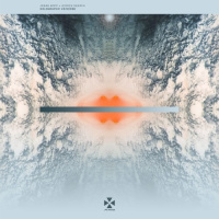 Holographic Universe