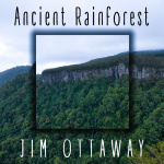 Ancient Rainforest