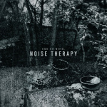 Noise Therapy