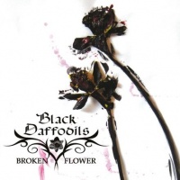 Broken Flower