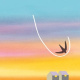 Radio Oiseaux