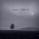 Void One
