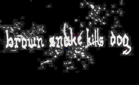 Brown Snake Kills Dog