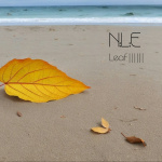 Leaf IIIIII