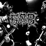 S.O.B.