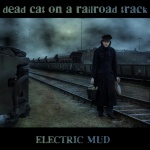 Dead Cat On A Railroad Track