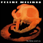 The Felines Await You