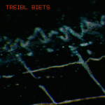Treibl Biets