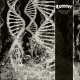 Dissonance Theory