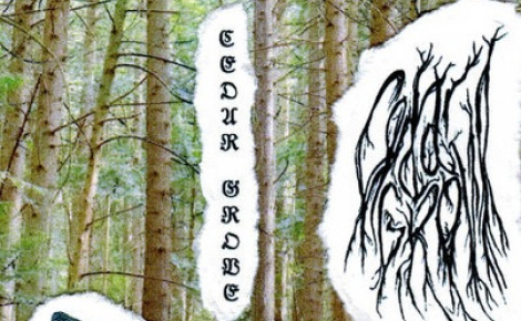 Cedar Grove