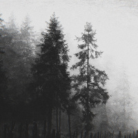 雾骸 (Mist Skeleton)