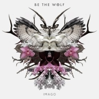 Imago