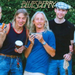 Bluesberry