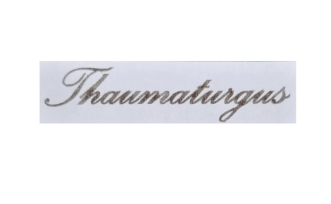 Thaumaturgus