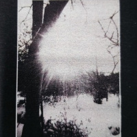 Greeting The Solar Disc