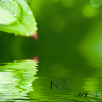Leaf IIII