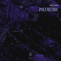 Polymetric