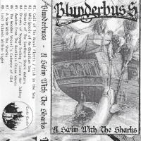 A Swim With The Sharks