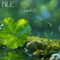 Leaf III