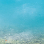 The Water