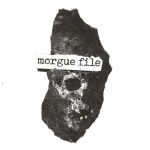 Morgue File