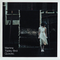 Quixotic 