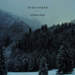 A Winter Heart