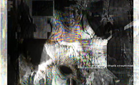 Order Of The Wire Mother
