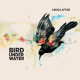 Bird Under Water