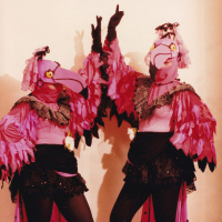 Horses on the Runway: "Passing The Giraffes" Demos And Studio Outtakes