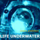 Life Underwater
