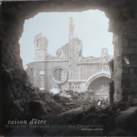 Within The Depths Of Silence And Phormations (Sublime Edition)
