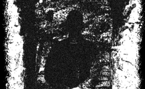 Mircwidu