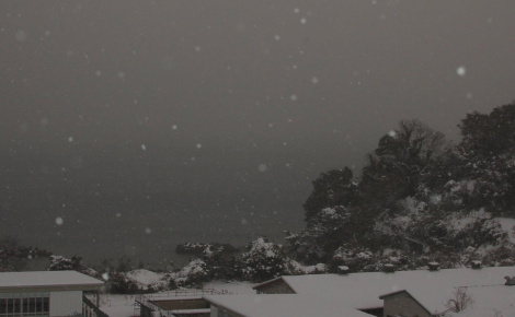 低体温症 (Hypothermia)