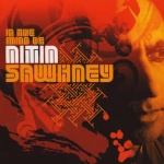  In The Mind Of Nitin Sawhney