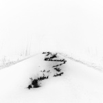 Battle Lines (Remixed)