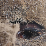 No Cure For The Inhumanity